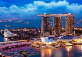 od体育在线2024最新版